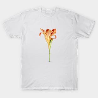 Orange Daylily Illustration T-Shirt